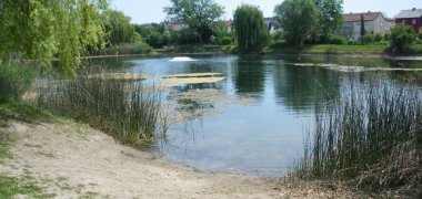 Blick auf den Russenweiher