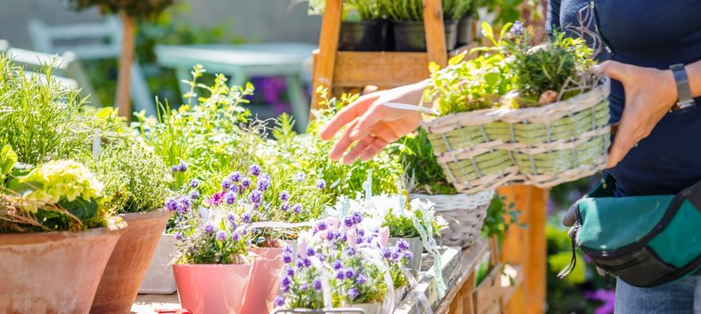 Symbolfoto Gartenmarkt